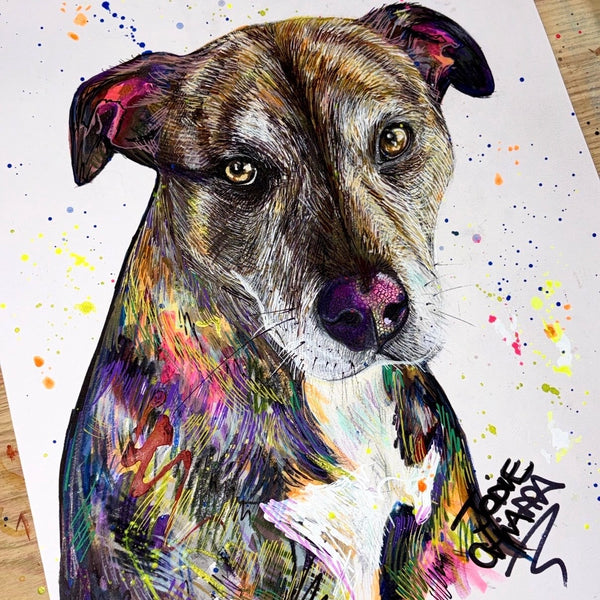 Dog Portrait (commission)