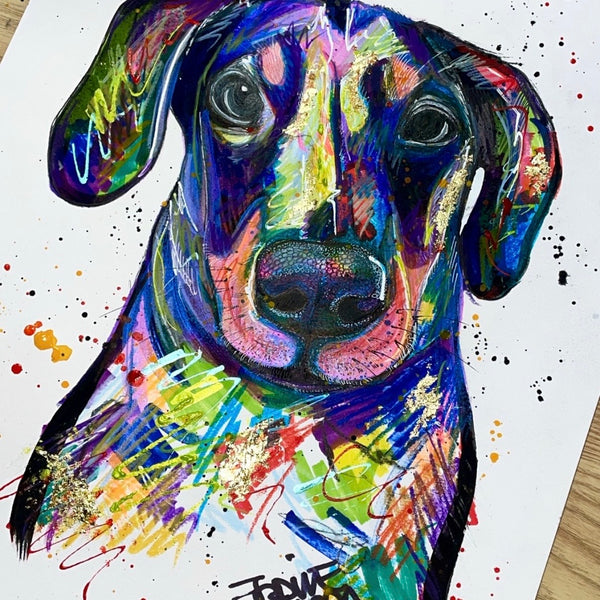 Dog Portrait (commission)