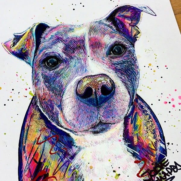 Dog Portrait (commission)