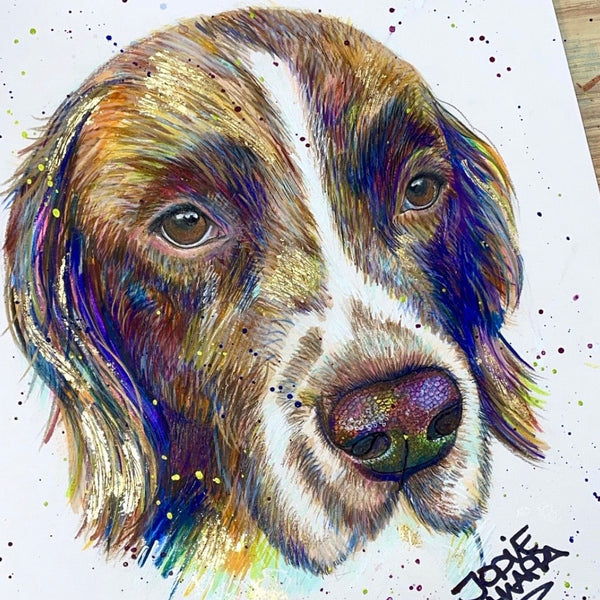 Dog Portrait (commission)
