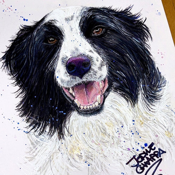 Dog Portrait (commission)