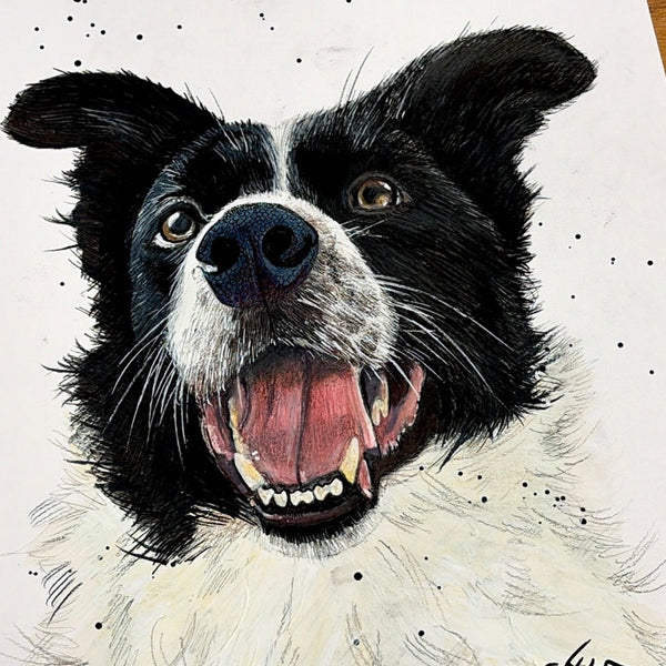 Dog Portrait (commission)