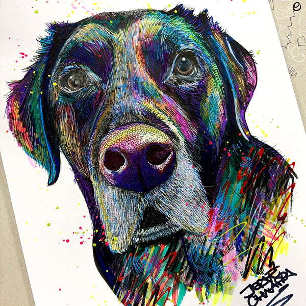 Dog Portrait (commission)