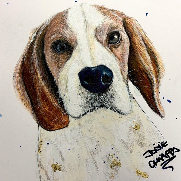 Dog Portrait (commission)